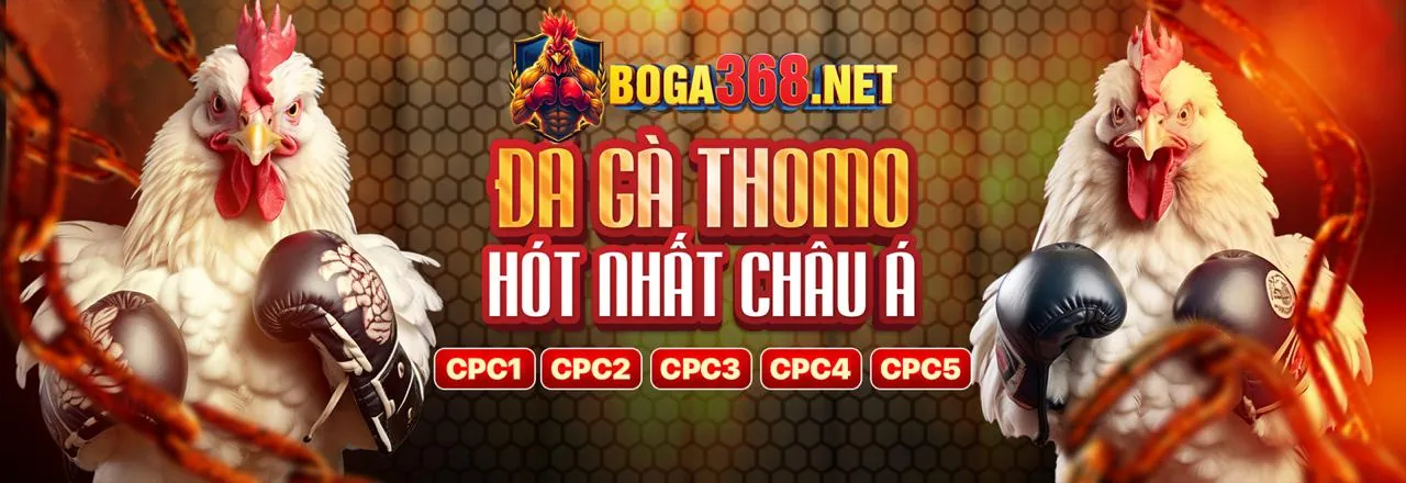Chương trình VIP hd88 casino