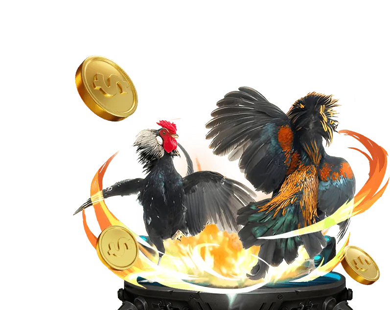 Đá gà cựa sắt tại HD88 Casino