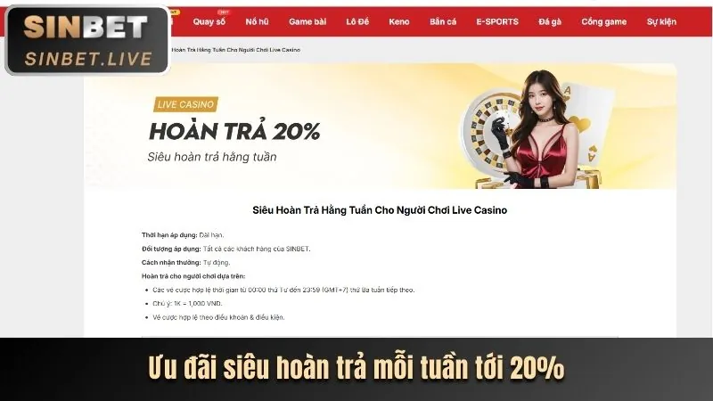 Các bước nhận hoàn trả hd88 casino